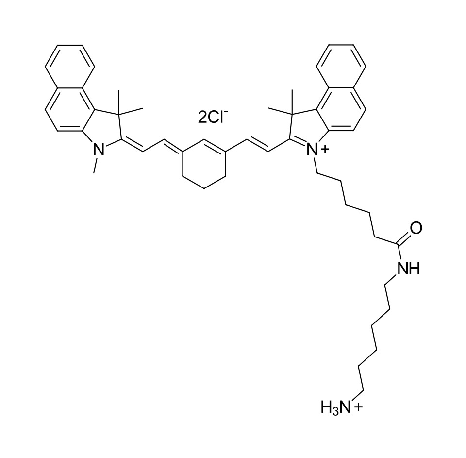 Cyanine 7.5 amine