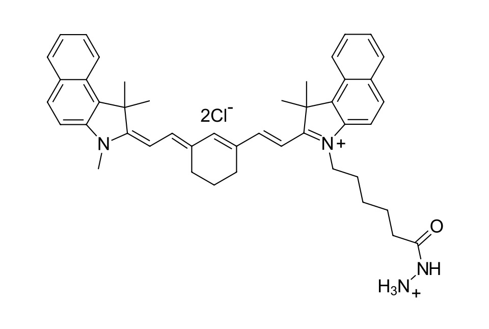 Cyanine 7.5 hydrazide