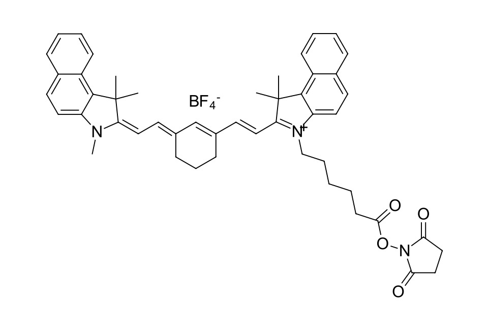 Cyanine 7.5 NHS ester