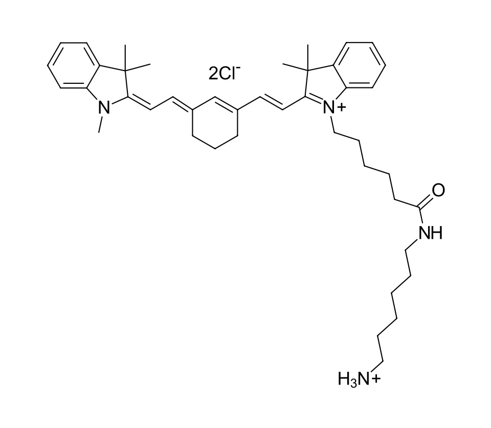 Cyanine 7 amine