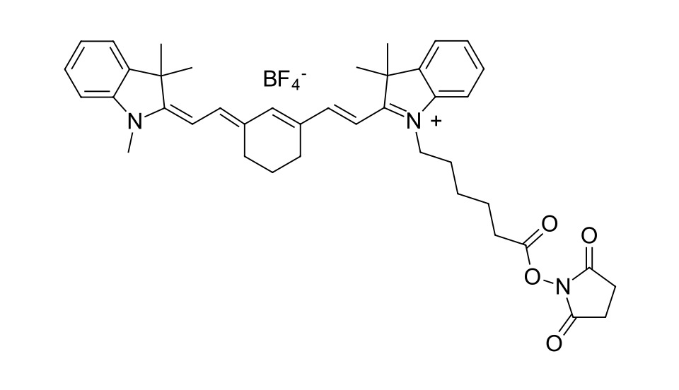 Cyanine 7 NHS ester