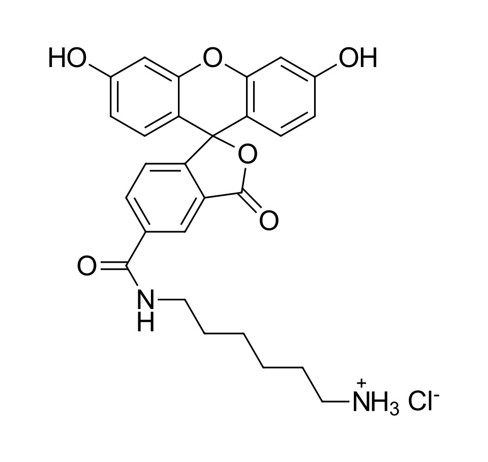 FAM amine, 5-isomer