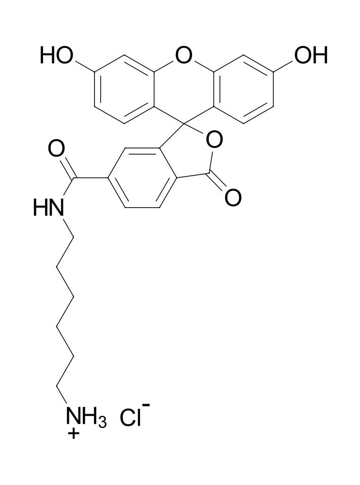 FAM amine, 6-isomer