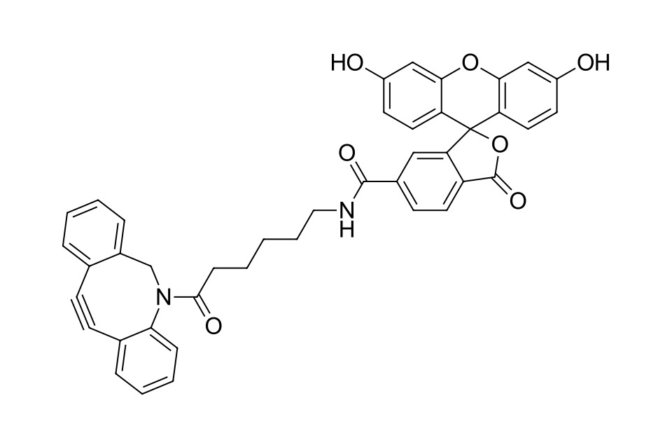 FAM DBCO, 6-isomer