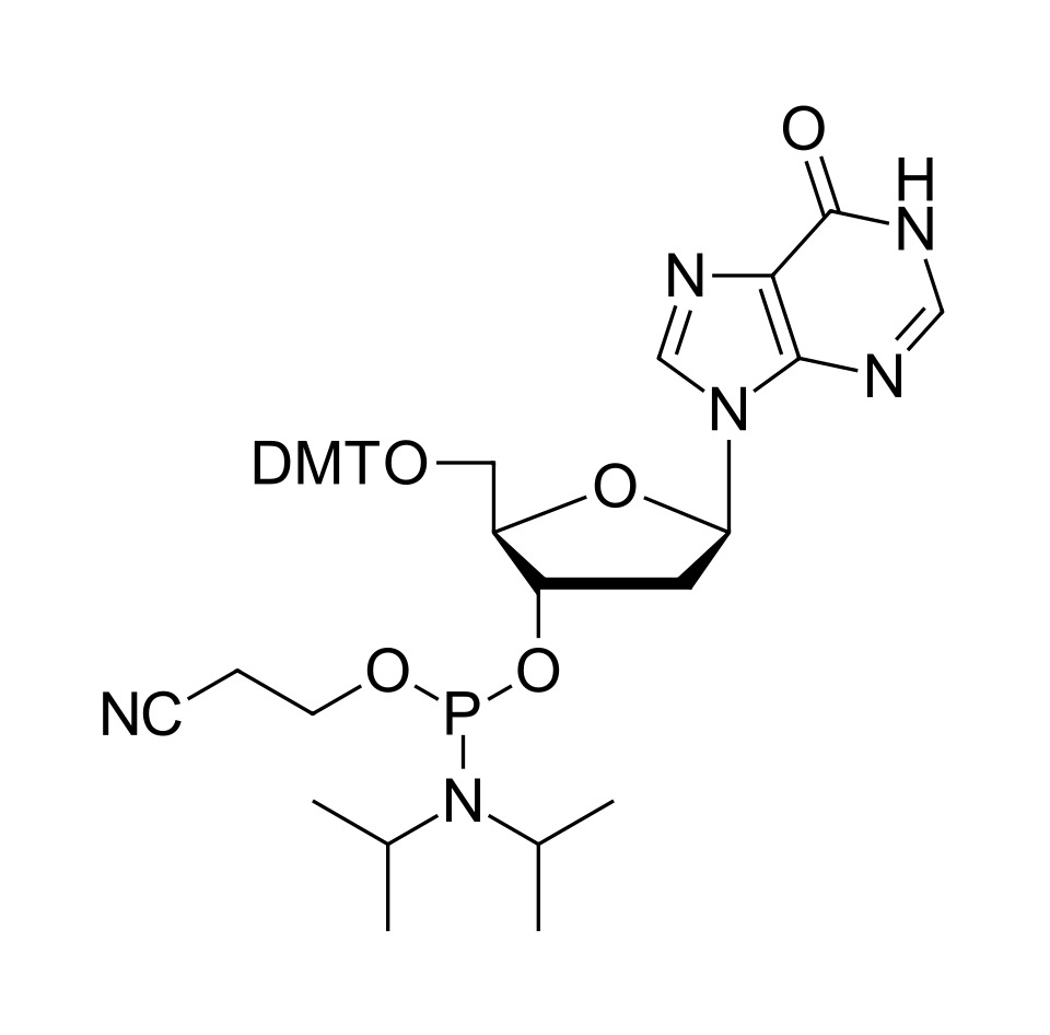 Inosine (dI) phosphoramidite [141684-35-7]