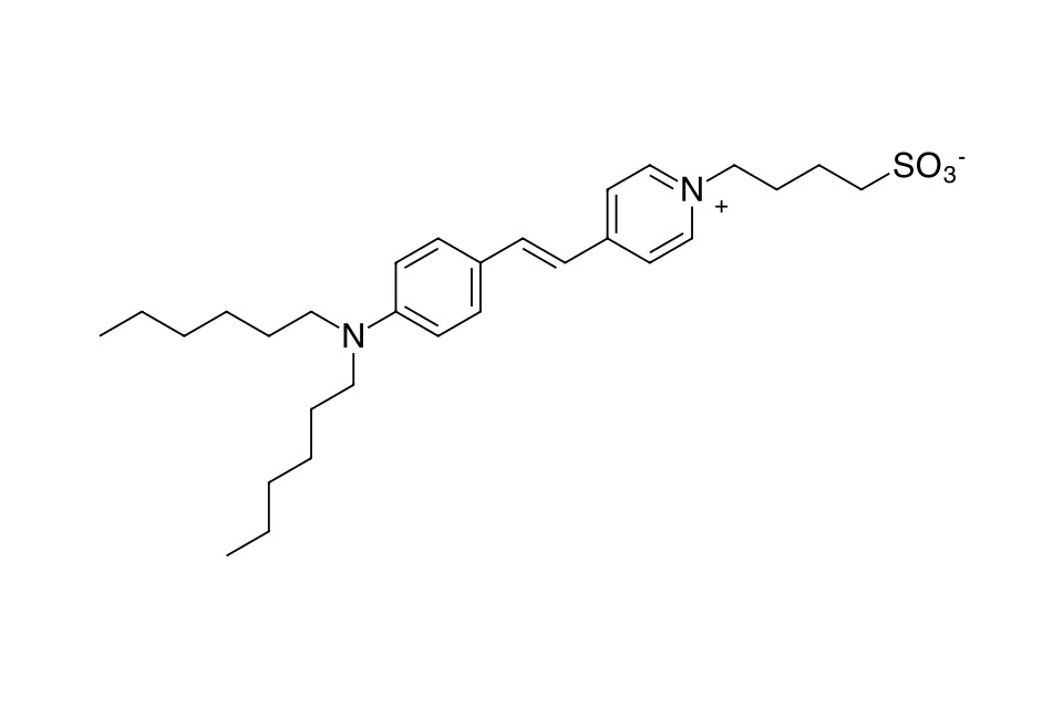 ProteOrange Protein Gel Stain