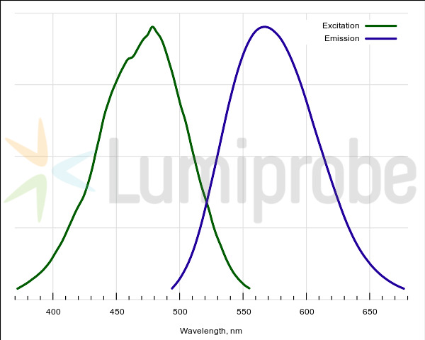 ProteOrange Protein Quantification Reagent