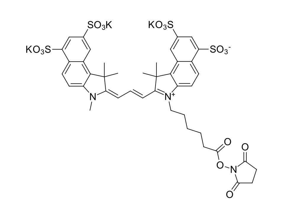 Sulfo-Cyanine 3.5 NHS ester