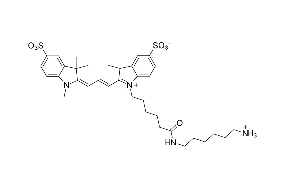 Sulfo-Cyanine 3 amine