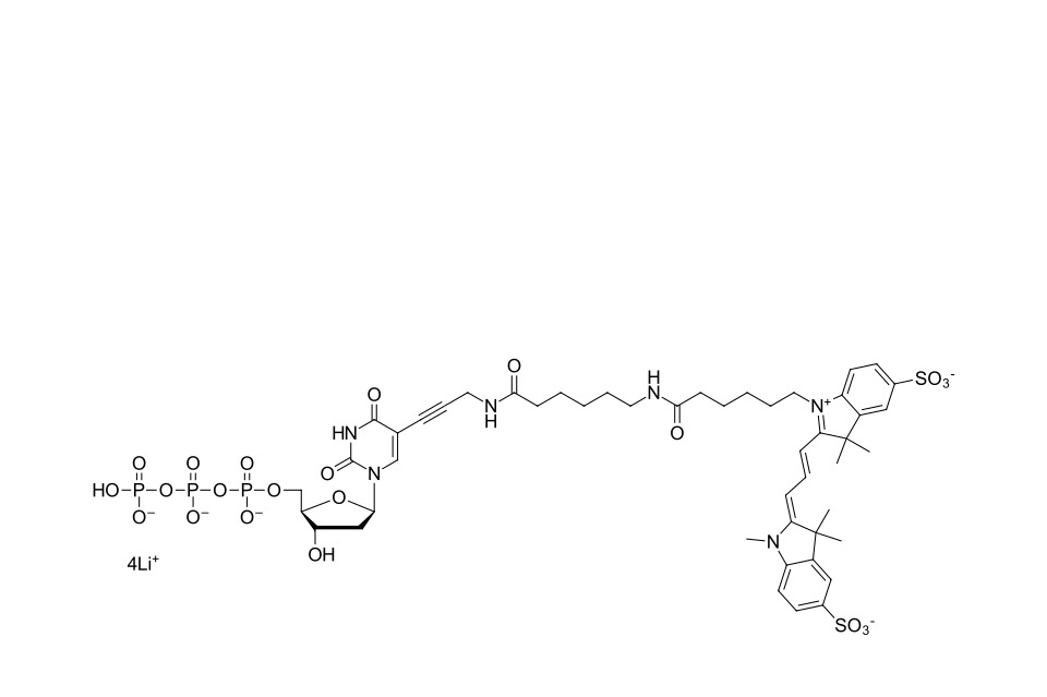 Sulfo-Cyanine 3 dUTP