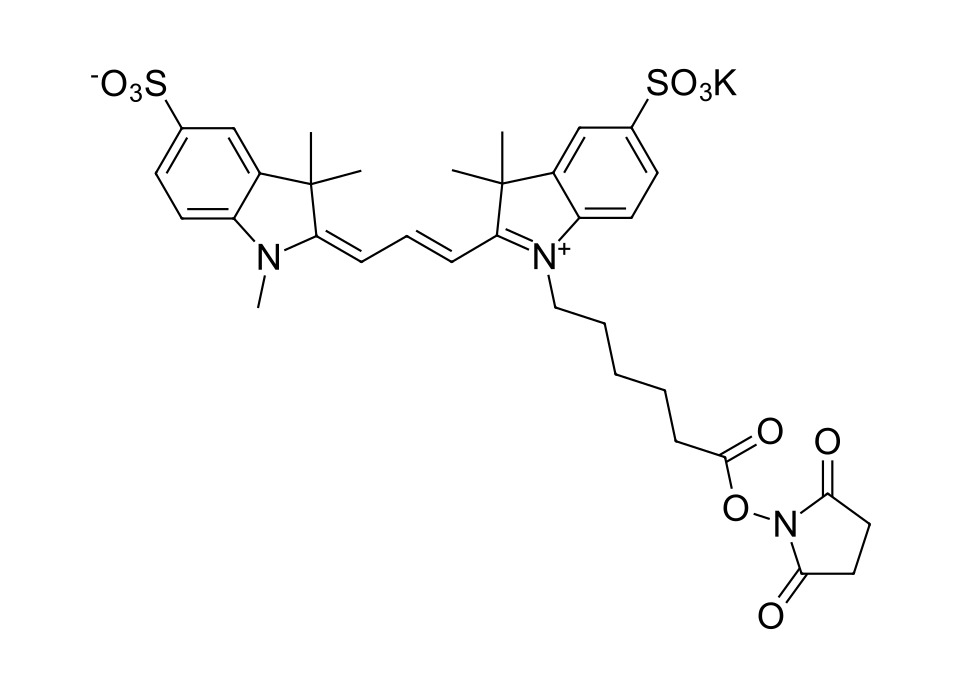 Sulfo-Cyanine 3 NHS ester [1424150-38-8]