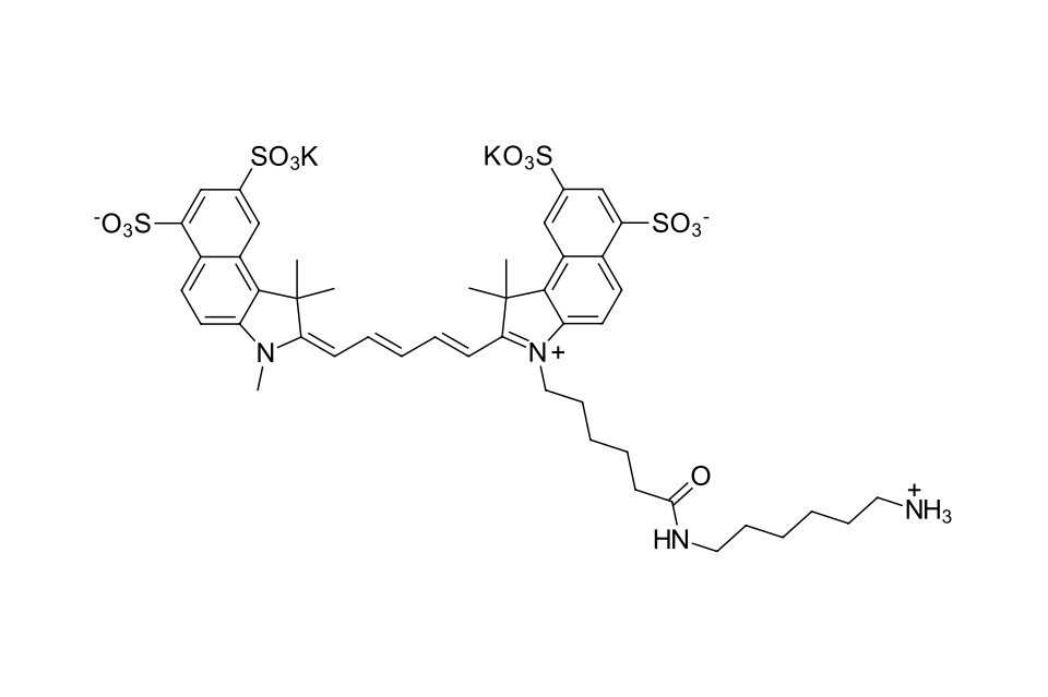 Sulfo-Cyanine 5.5 amine