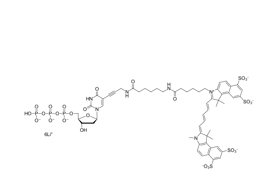 Sulfo-Cyanine 5.5 dUTP