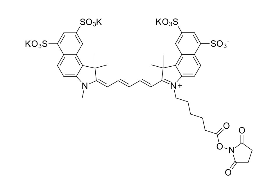 Sulfo-Cyanine 5.5 NHS ester