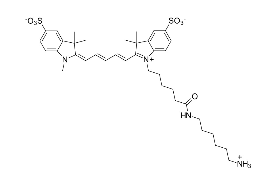 Sulfo-Cyanine 5 amine [2183440-44-8]