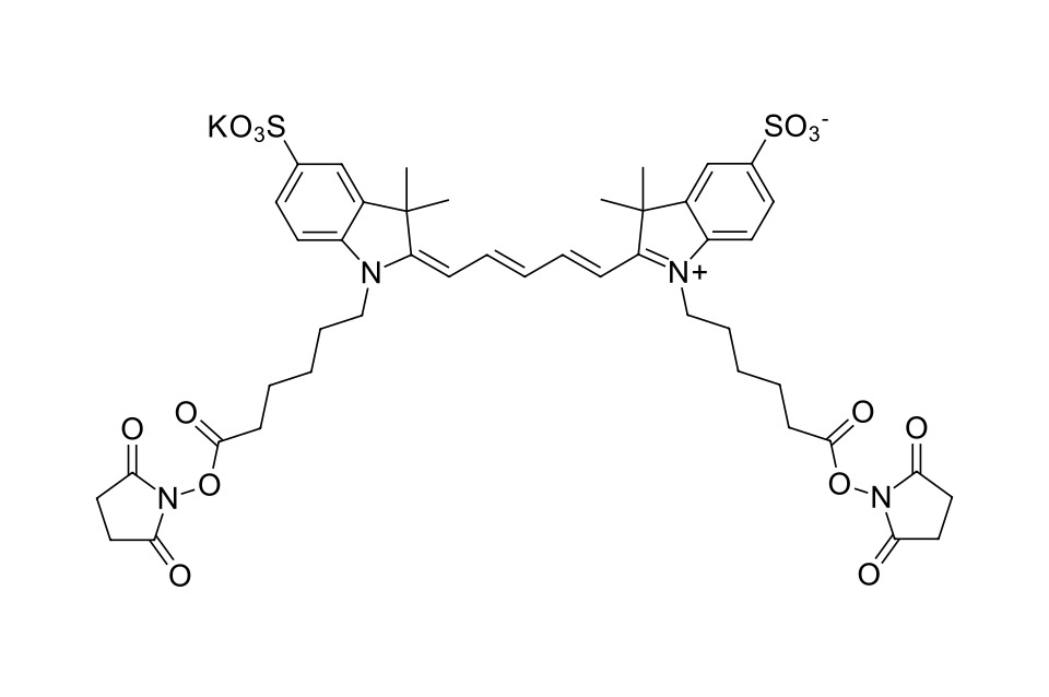 Sulfo-Cyanine 5 bis-NHS ester