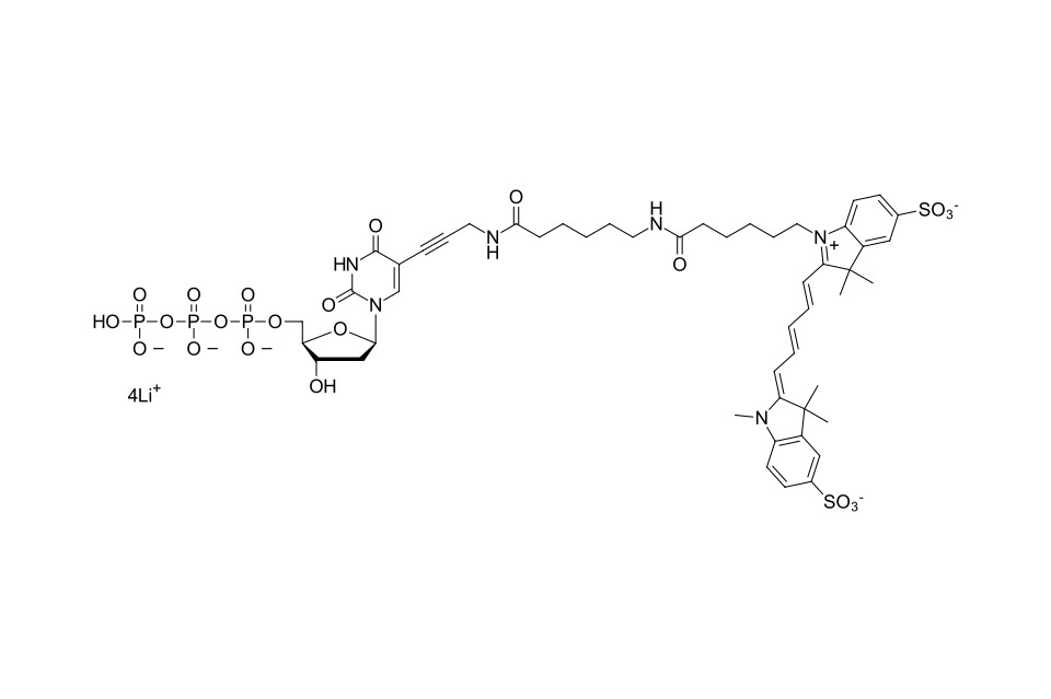 Sulfo-Cyanine 5 dUTP