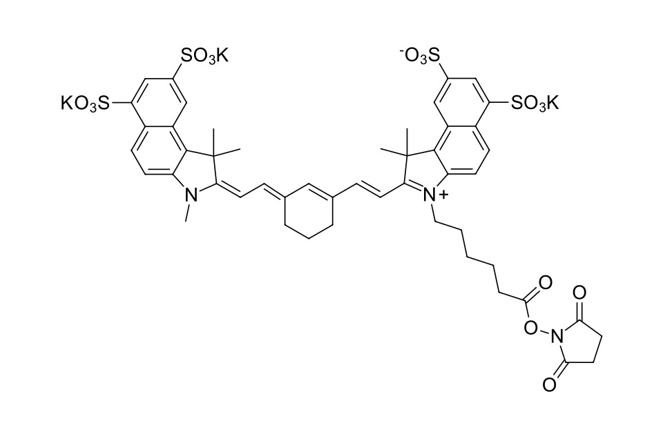 Sulfo-Cyanine 7.5 NHS ester