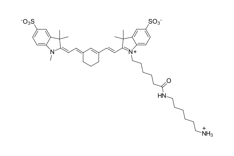 Sulfo-Cyanine 7 amine