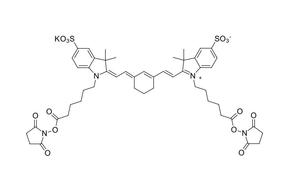 Sulfo-Cyanine 7 bis-NHS ester