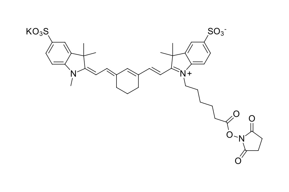 Sulfo-Cyanine 7 NHS ester [477908-53-5]