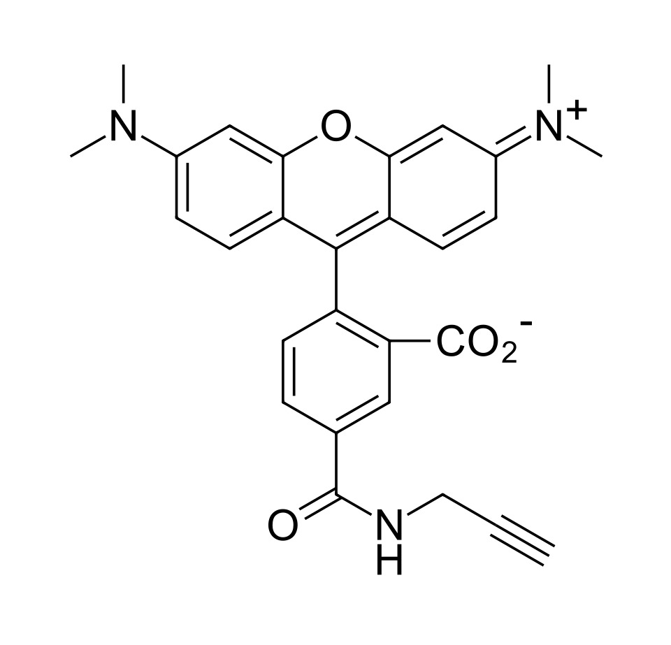 TAMRA alkyne, 5-isomer