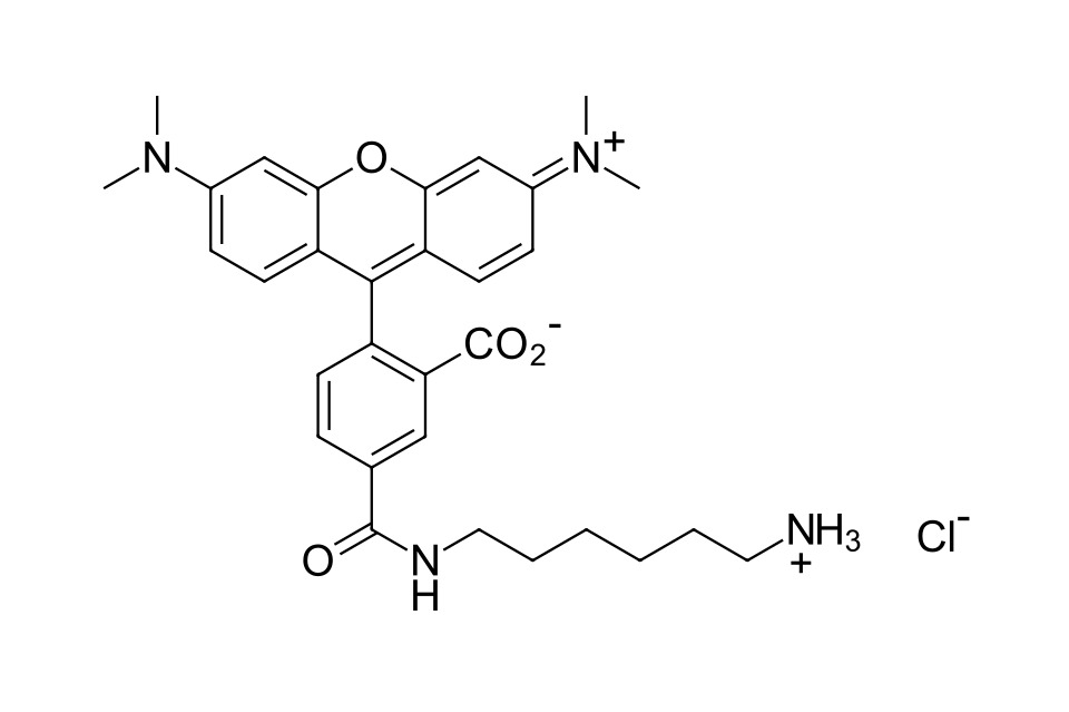 TAMRA amine, 5-isomer