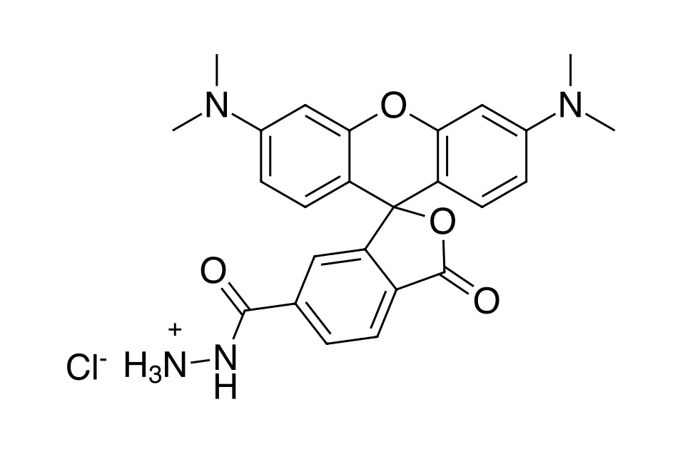 TAMRA hydrazide, 6-isomer