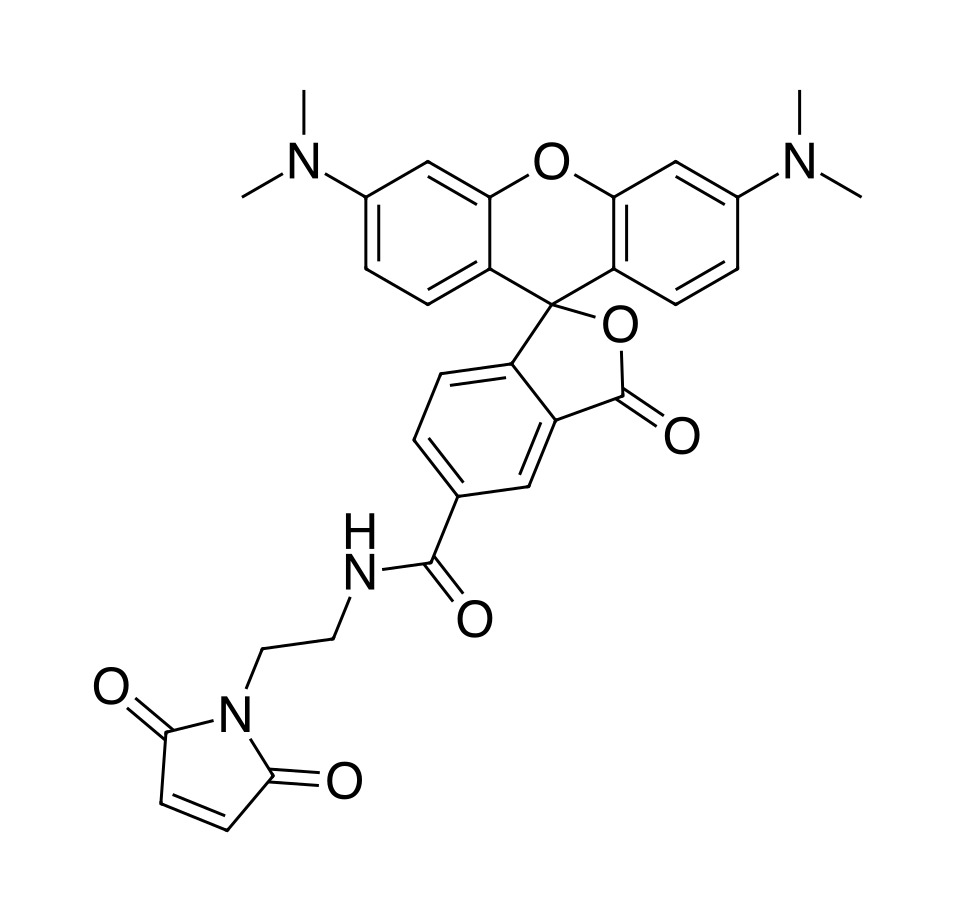 TAMRA maleimide, 5-isomer