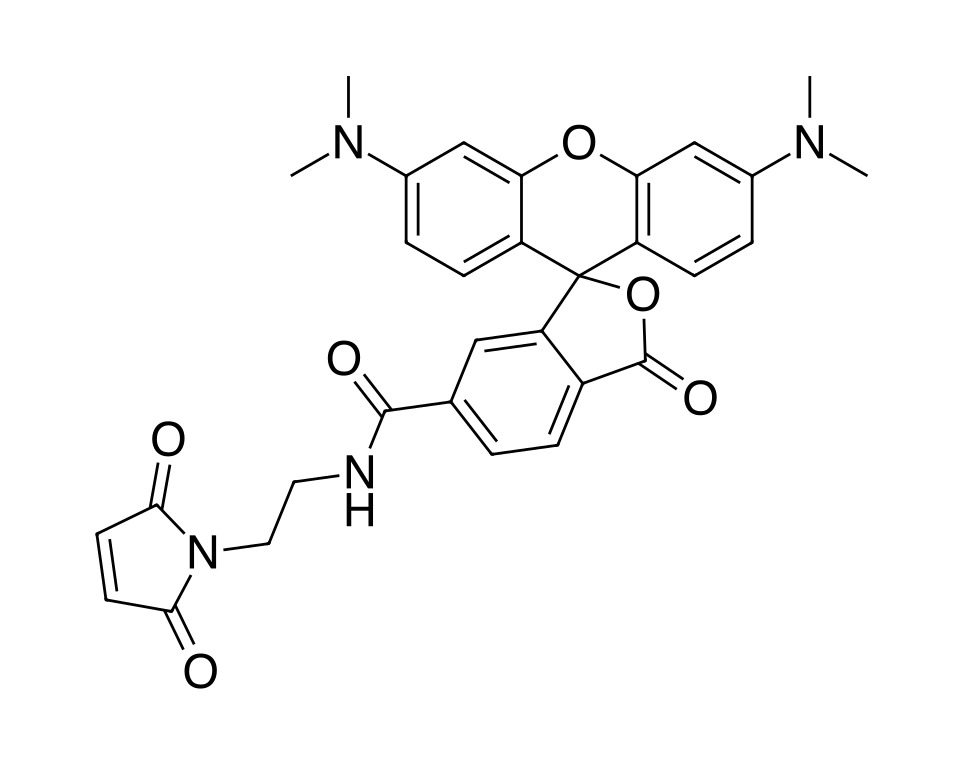 TAMRA maleimide, 6-isomer