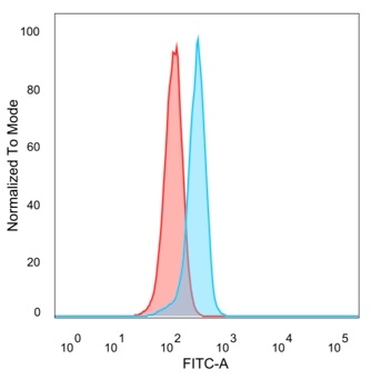 Anti-ATF2 Antibody [PCRP-ATF2-1B4]