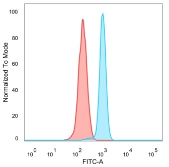 Anti-Serum Response Factor Antibody [PCRP-SRF-1F7]