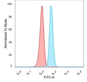 Anti-Serum Response Factor Antibody [PCRP-SRF-1F1] - BSA and Azide free