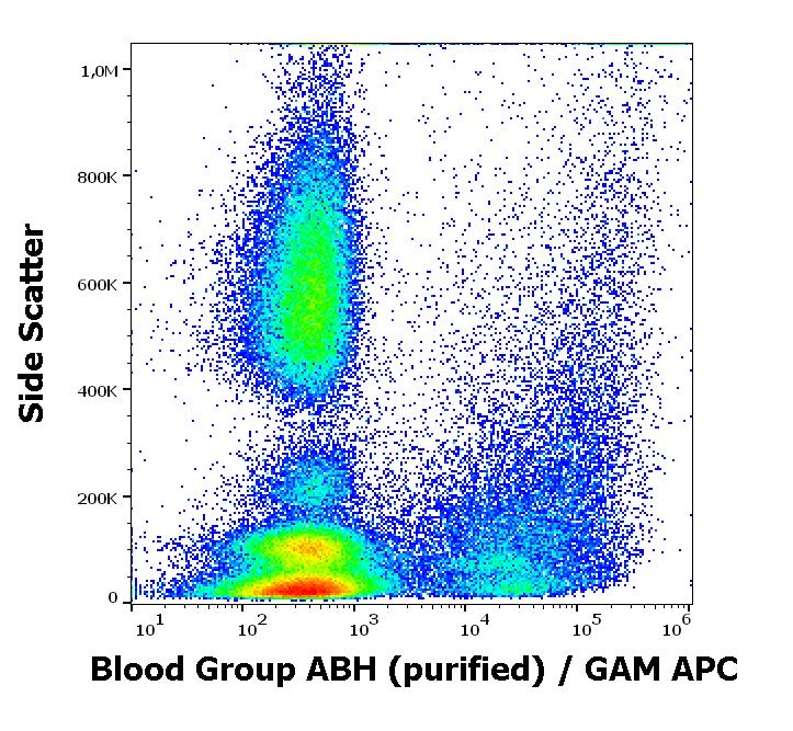 Anti-Blood Group A, B, and H Antigens Antibody [HE-10]