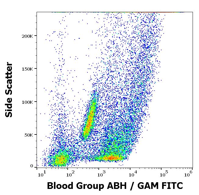 Anti-Blood Group A, B, and H Antigens Antibody [HE-10]