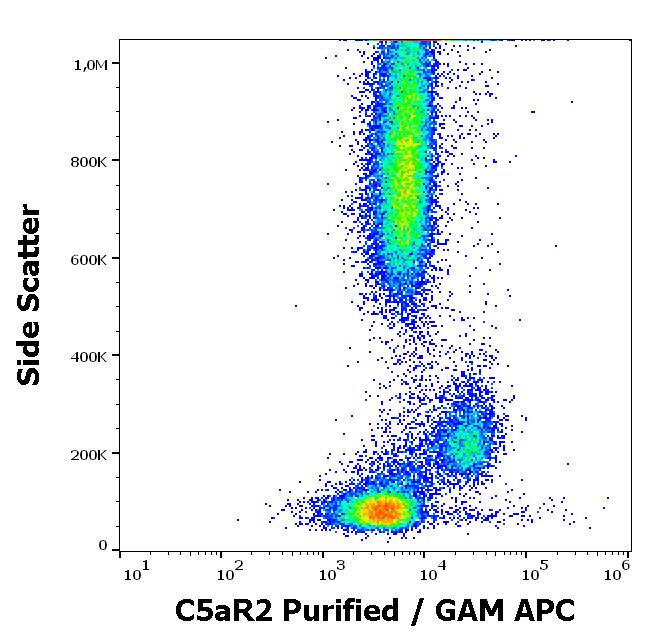 Anti-C5AR2 Antibody [1D9-M12]