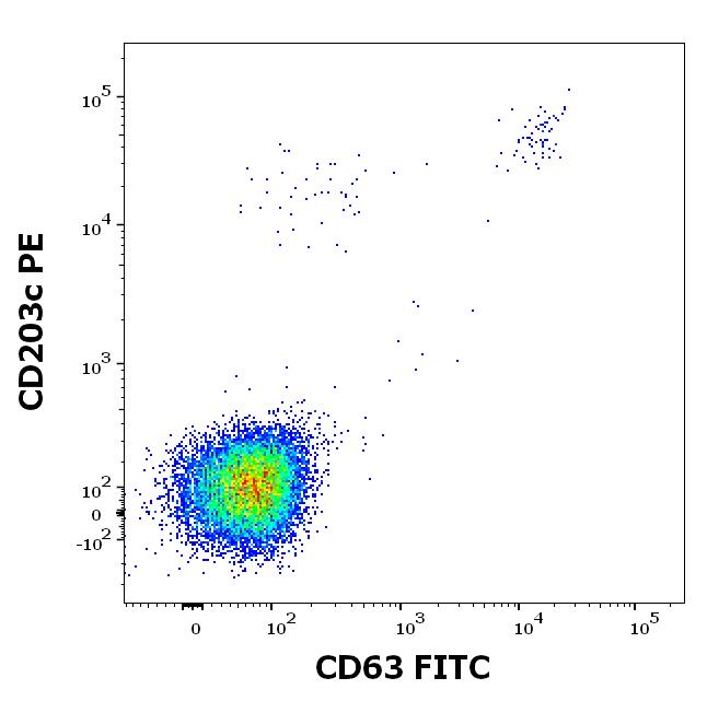 Recombinant Phl p 1 (1.0102) Protein