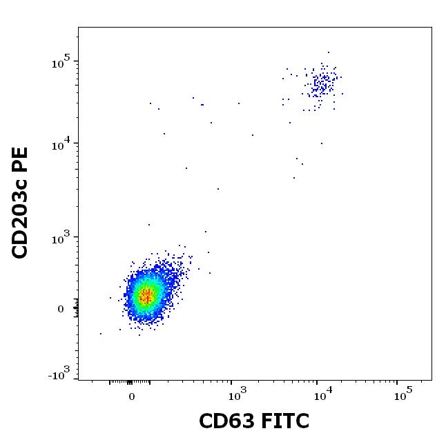 Recombinant Ves v 5 (5.0101) Protein