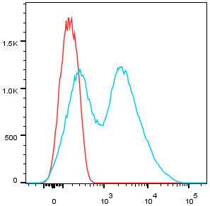 Anti-CD38 Antibody [ARC5131-01]