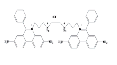 Ethidium Homodimer-1 (EthD-1) [61926-22-5]