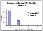 Anti-Seasonal H1N1 Nonstructural Protein 1 Antibody