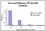 Anti-Seasonal H1N1 Nucleocapsid Protein Antibody