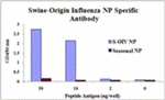 Anti-Swine H1N1 Nucleocapsid Protein Antibody