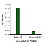 Anti-Avian Influenza Hemagglutinin Antibody