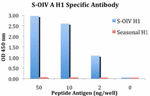 Anti-Swine H1N1 Hemagglutinin Antibody