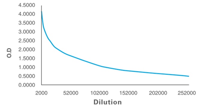 Anti-SAM Antibody [84-3]