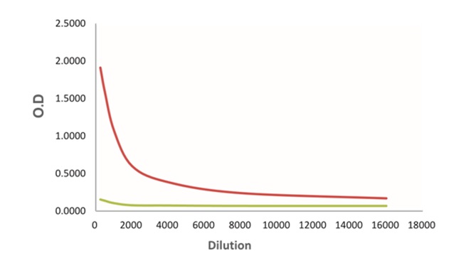 Anti-SAH Antibody [301-3]