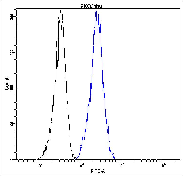 Anti-PKC alpha Antibody [D22-G]