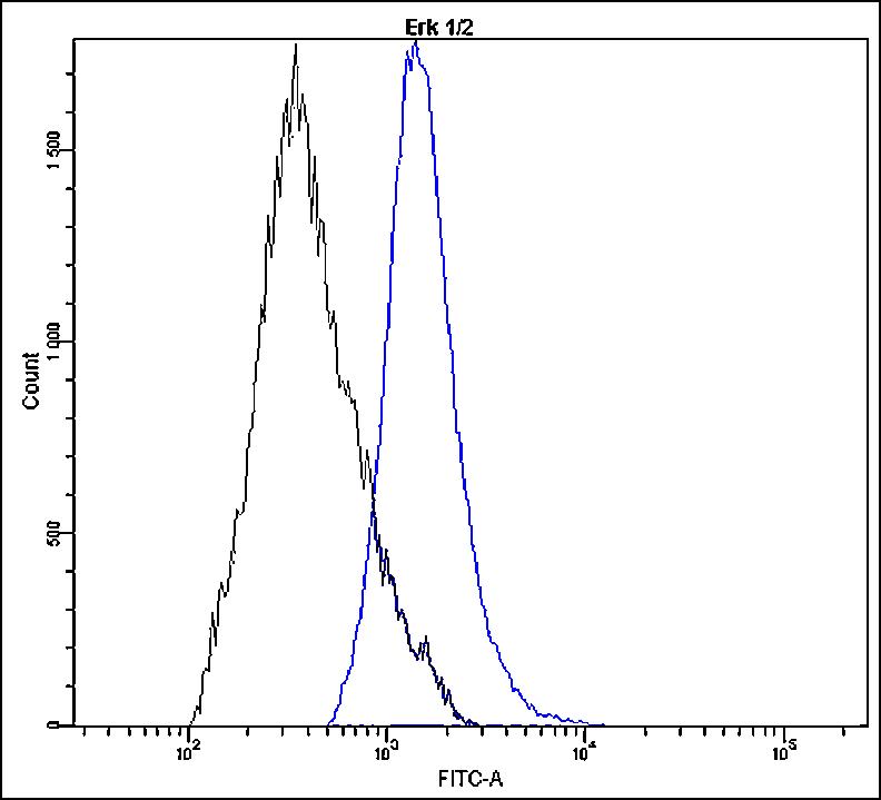 Anti-Erk1 + Erk2 Antibody [N25-P]