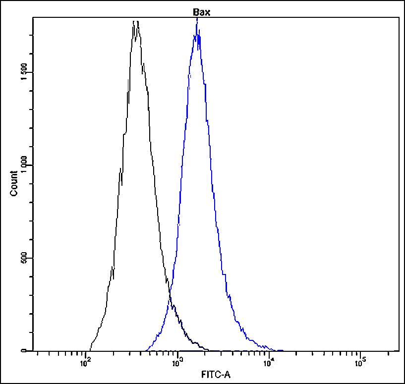 Anti-Bax Antibody [T22-A] - Identical to Abcam (ab139543) and Novus (NBP2-21814)